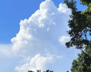 点军天气预报,点军7天天气预报,点军15天天气预报,点军天气查询